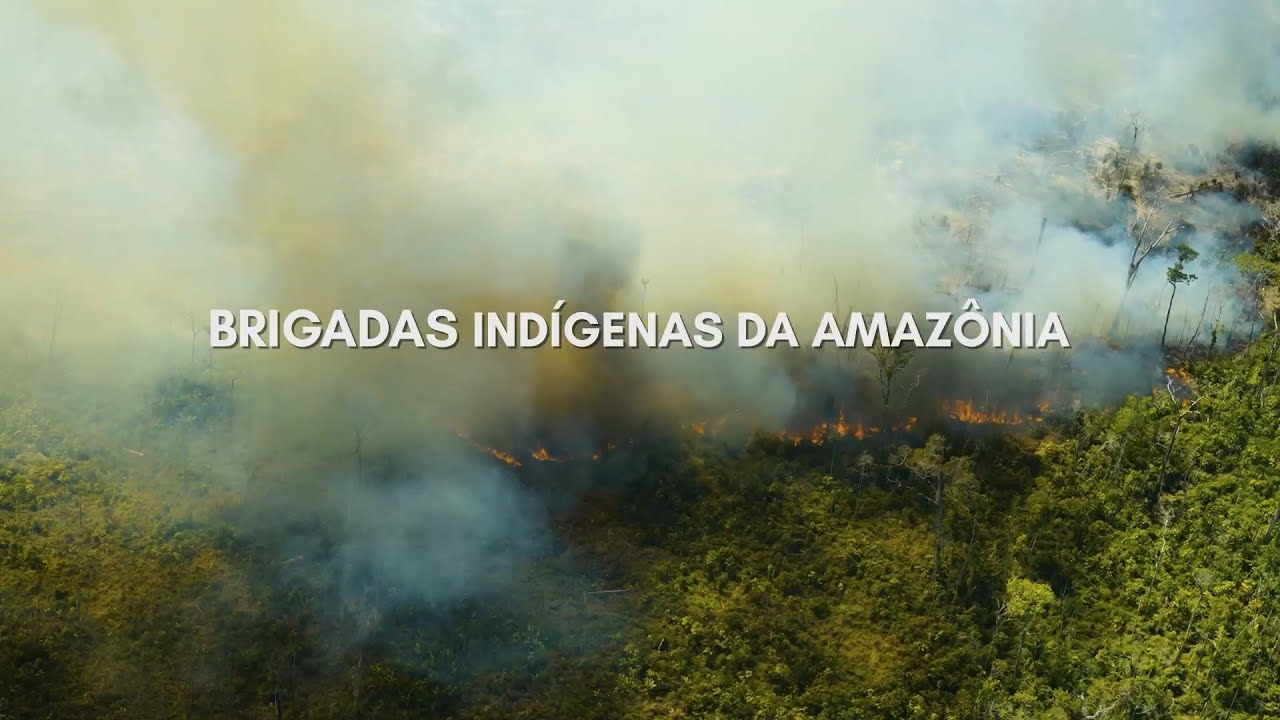 Brigadas indígenas na Amazônia: ancestralidade e tecnologia no manejo do fogo