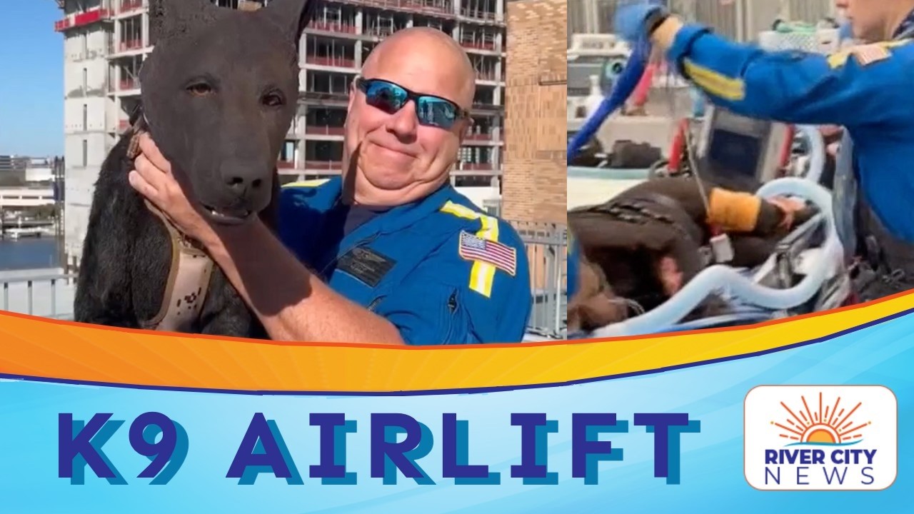 Florida Program Trains Crews to Airlift Injured Police K9s