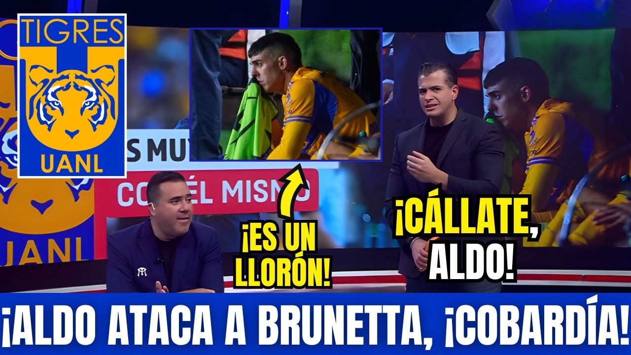 🚨🤬¡BOMBA EN TIGRES! ¡ALDO ATACA A BRUNETTA DE FORMA COBARDE! ¡BARRÓN SALE EN SU DEFENSA! TIGRES HOY