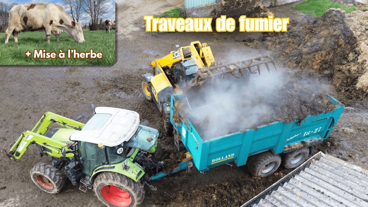 Transport de fumier a la ferme + sortie des vaches à l’herbe - vlog a la ferme #5