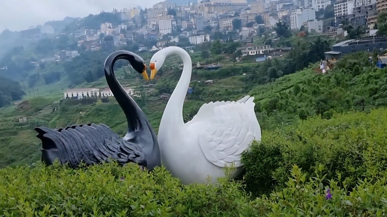رحلتي إلى مدينة سابا في شمال فيتنام 🇻🇳 