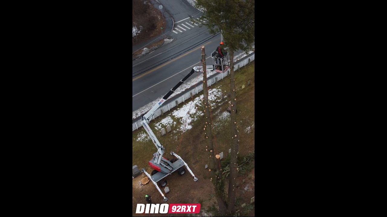 Drone Footage of a DINO 92RXT Tree Removal