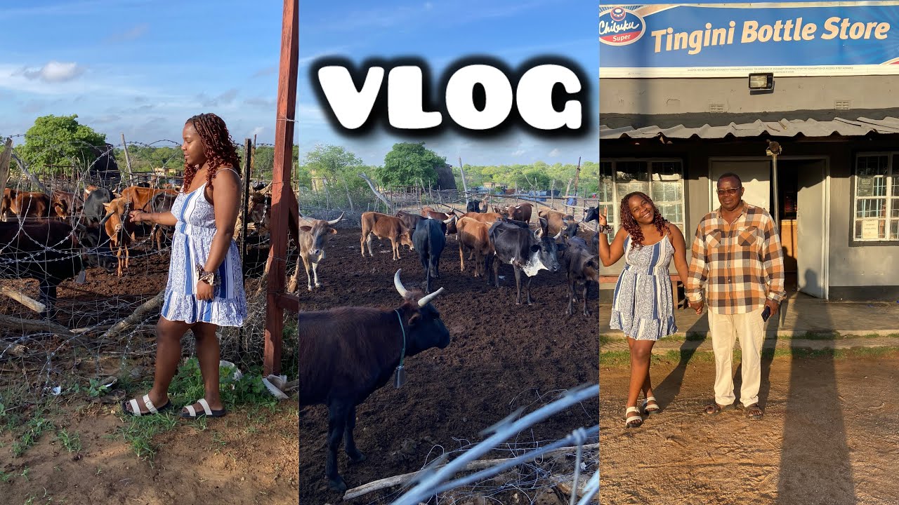 VLOG | Traveling From Harare Zimbabwe to the Village Kumusha in Chirumhanzu To See My Father
