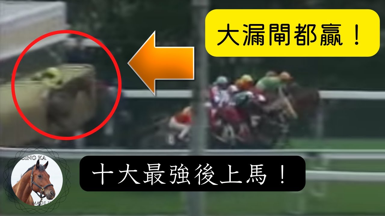 香港賽馬史上10條超強後上馬片段：第一名竟然不是巴基之星？