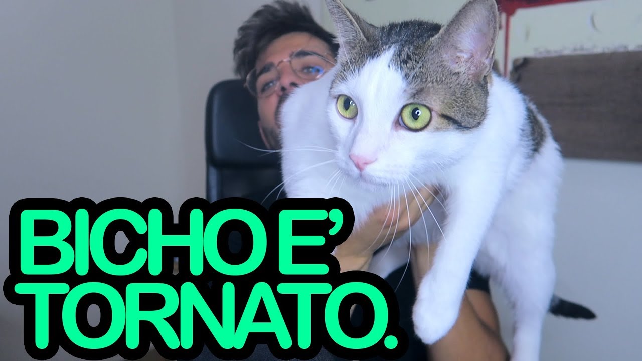 BICHO E' TORNATO!