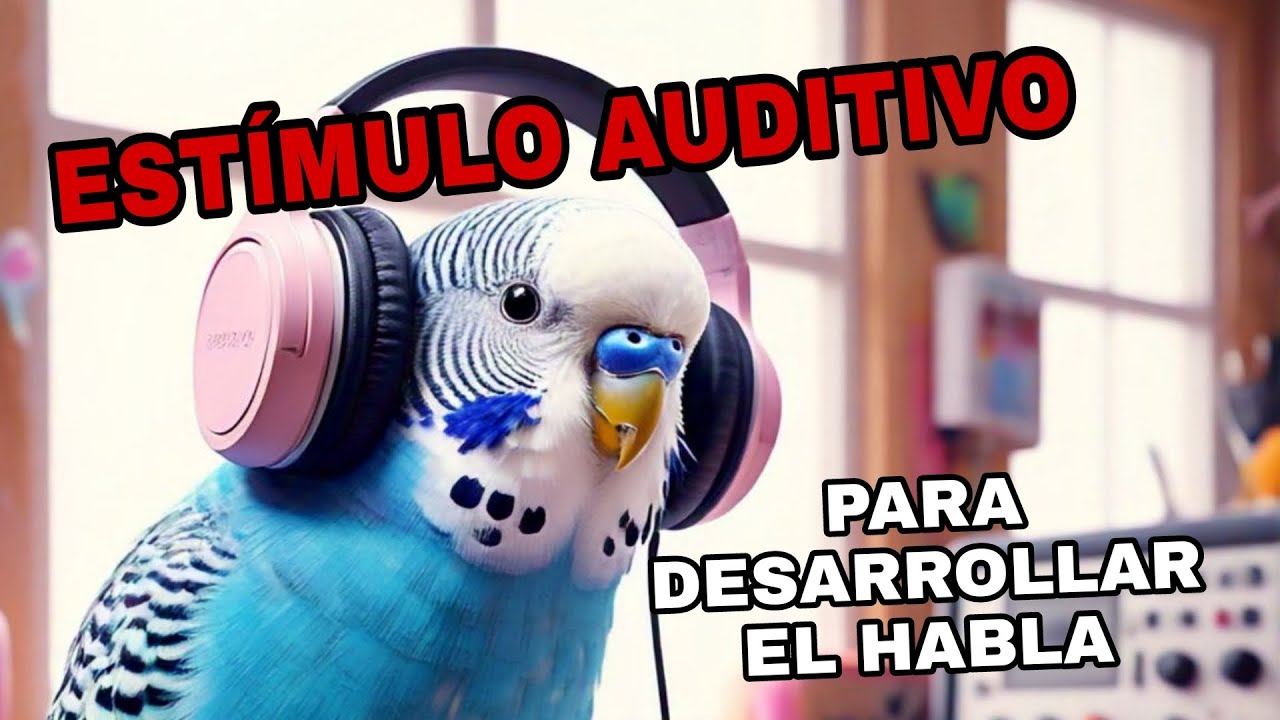 Conversaciones Aladas: Estímulos Auditivos para Desarrollar el Habla en Periquitos