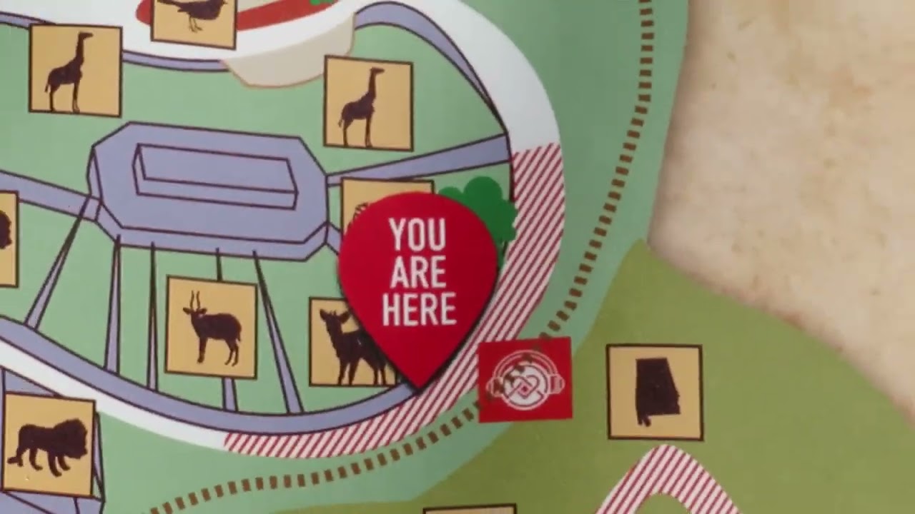 Birmingham Zoo Full Tour 2022