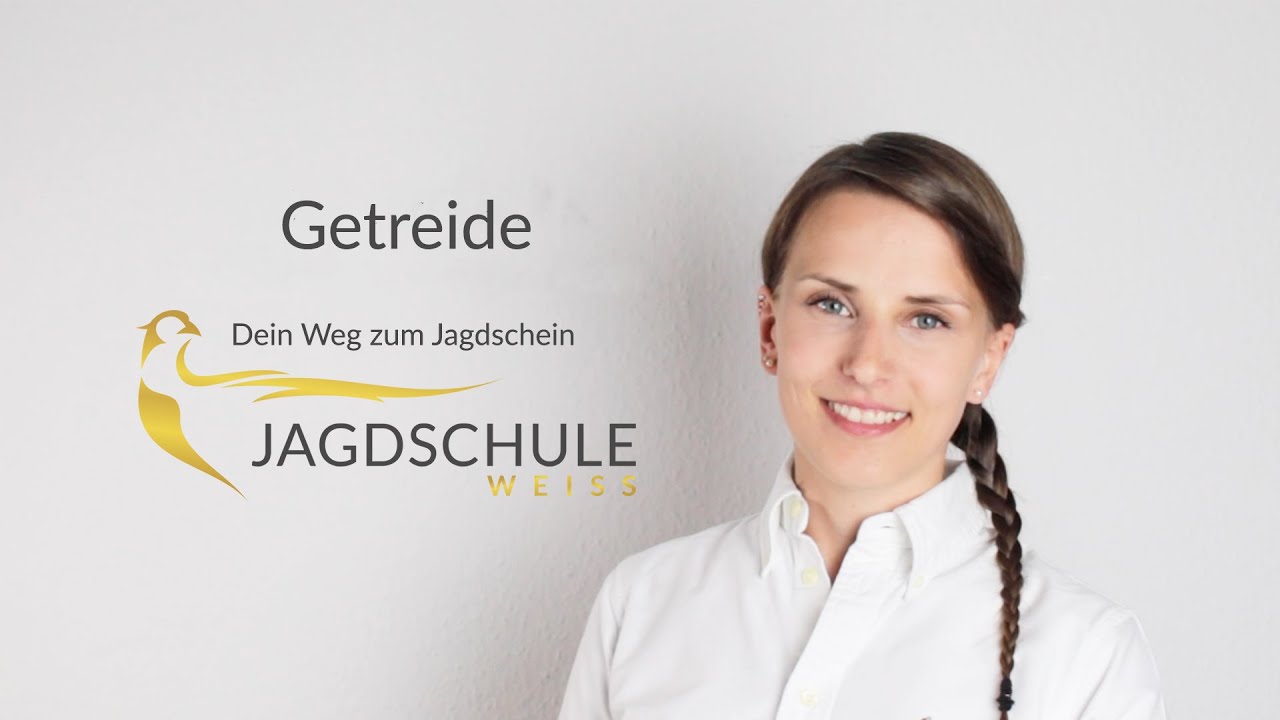 Getreide erkennen - Jagdschule Weiss - Jagdschein machen