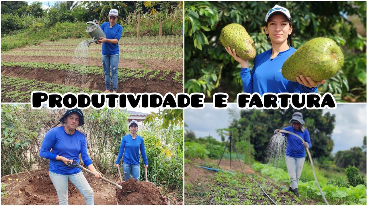 PRODUTIVIDADE na HORTA e muita FARTURA no SÍTIO.