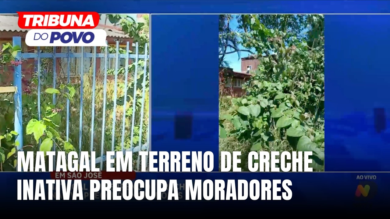 Matagal em creche inativa preocupa moradores em São José