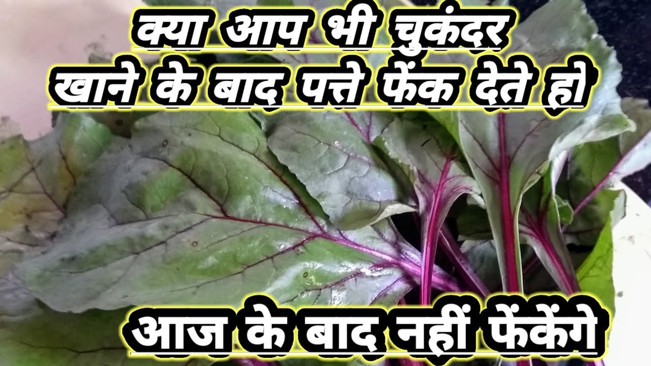 my first blog /चुकंदर के पत्तों की स्वादिष्ट गुणकारी सब्जी कैसे बनाएं,How to cook beetroot Leaves