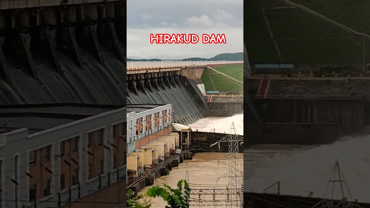 HIRAKUD DAM Gate Open video _ Mahanadi ra pani dekha dise jhalmala #shorts #trending #sambalpuri