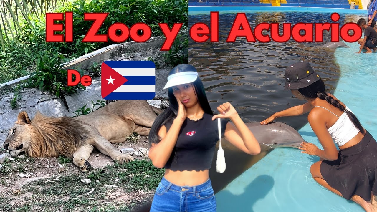 Así está el Zoológico de 26 y el Acuario Nacional de CUBA en pleno 2023 🙉🦓🐴🐻🦍🐒🐆🐬