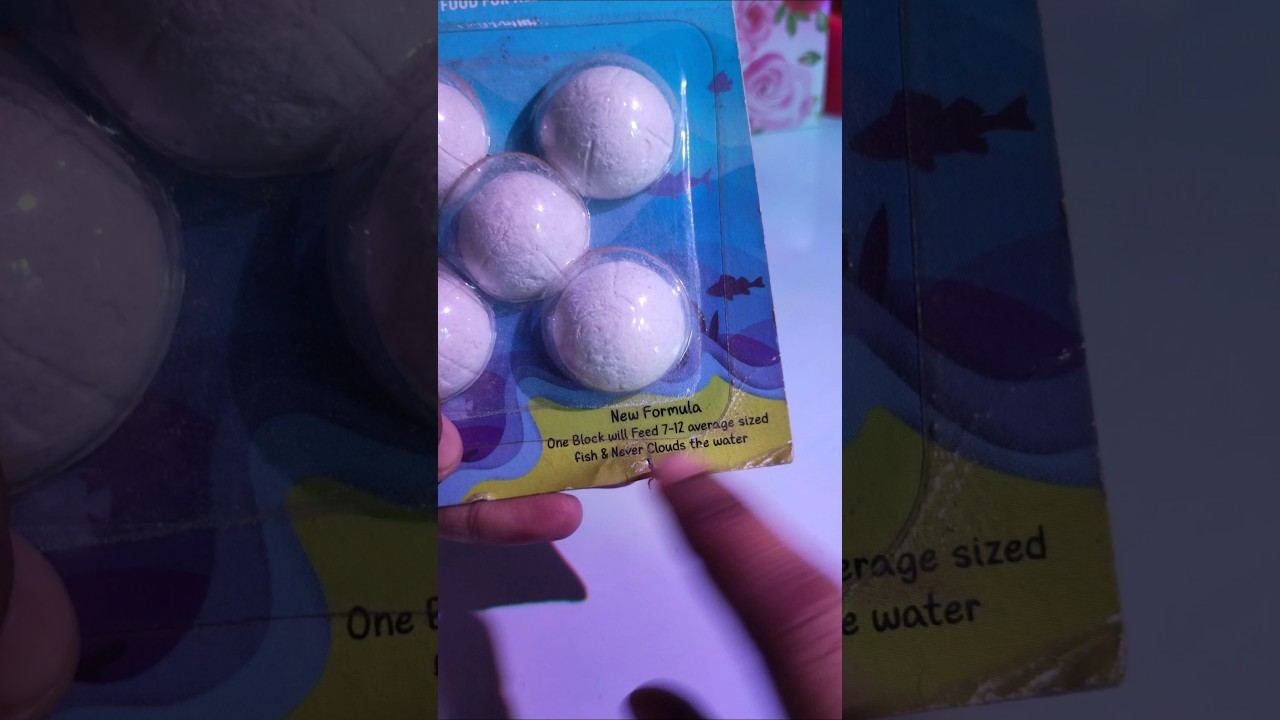 Weekend Fish Food Blocks &ndash; No Clouding, Easy Feeding! 🐟✨