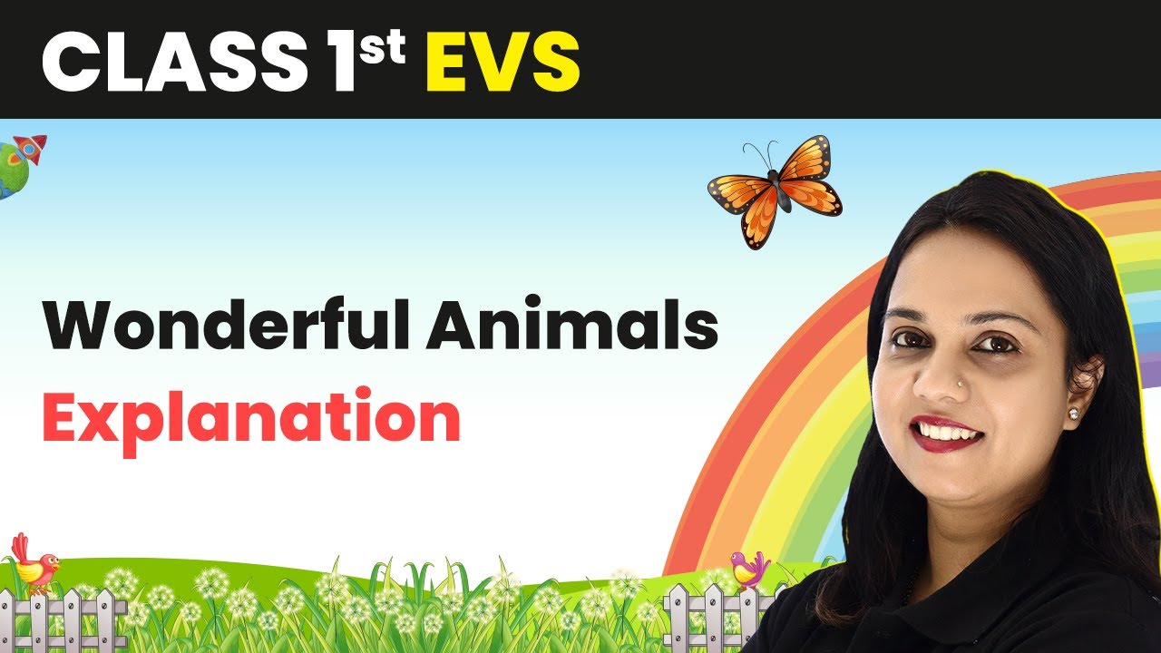 Class 1 EVS | Wonderful Animals - Explanation