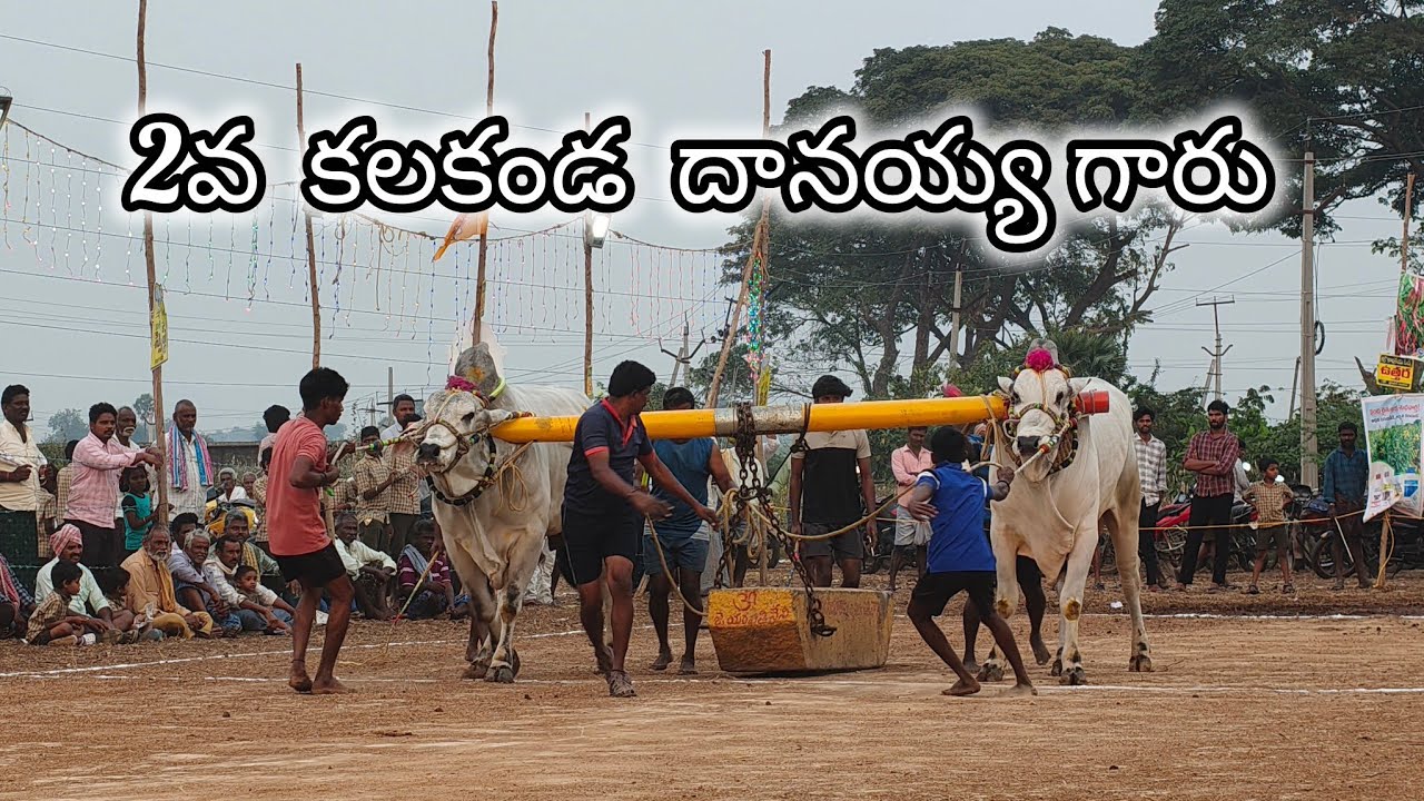 మాచవరం గ్రామం న్యూ కేటగిరి విభాగం💥2వ జత 💥కలకండ  దానయ్య గారు  అడవిదేవర పల్లి