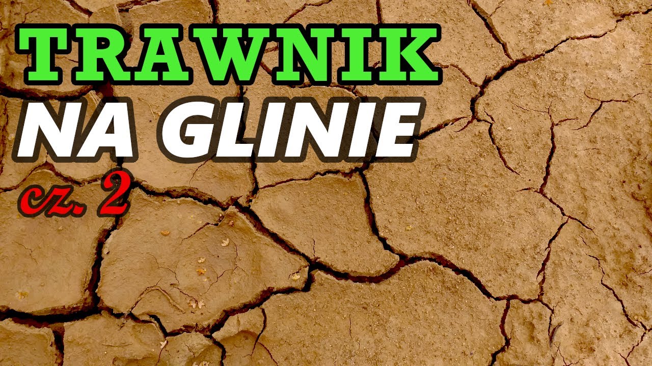 JAK ZAŁOŻYĆ trawnik na glinie - BEZ WYMIANY GRUNTU czyli taniej?