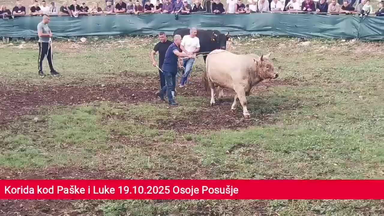 Uživo drugi krug kod Šakića Šestanovac