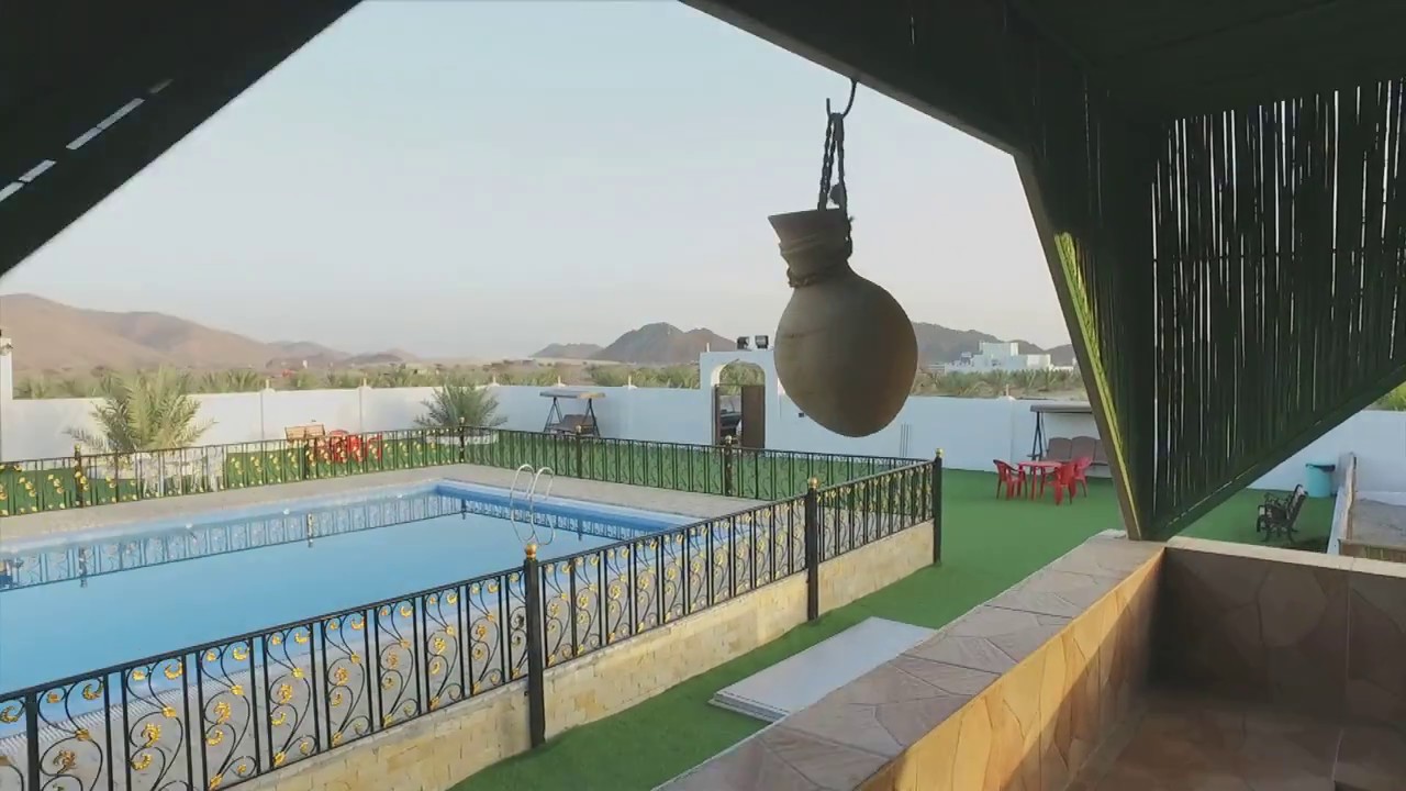 مزرعة حي البركة - بركة الموز
