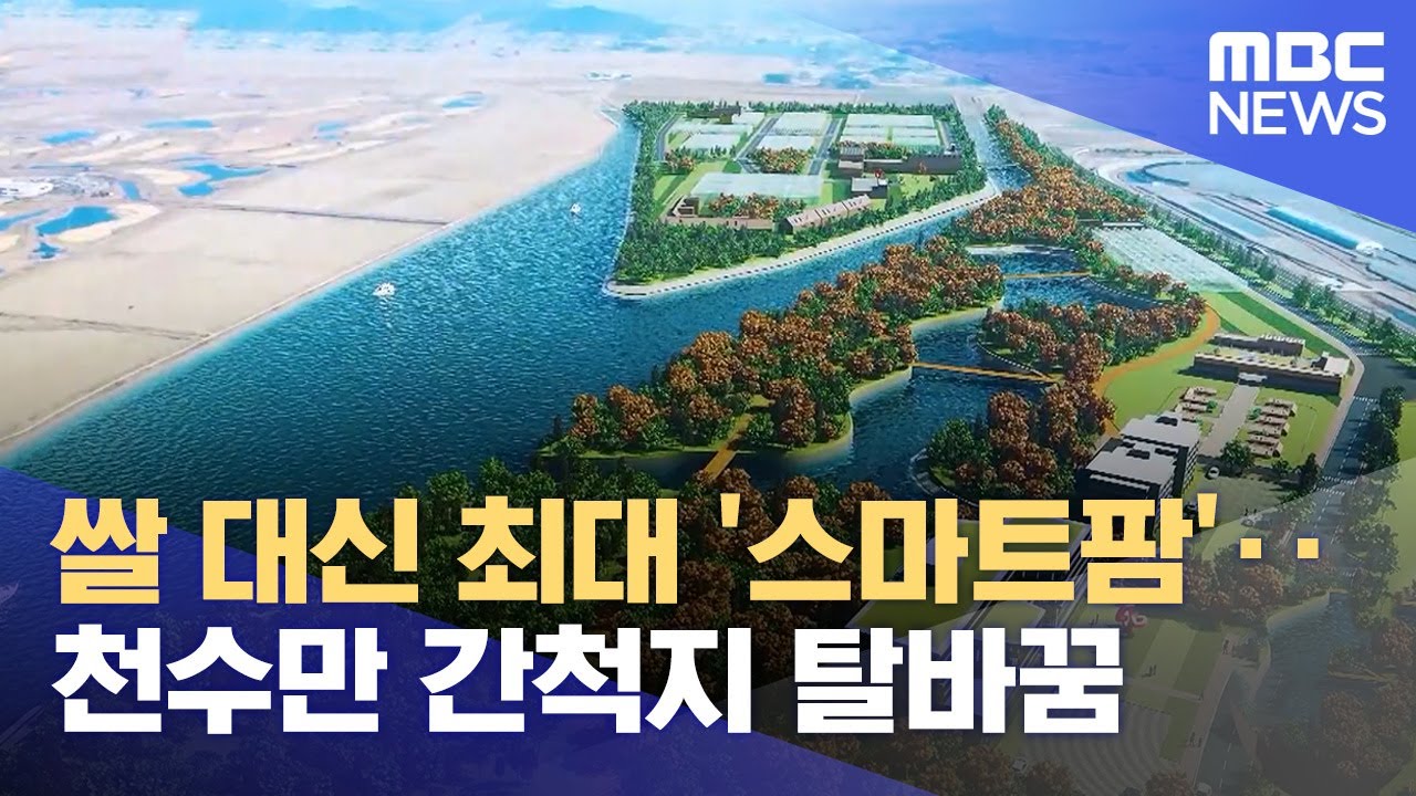 '쌀 대신 스마트팜' 천수만 간척지 탈바꿈 (2024.04.22/뉴스데스크/대전MBC)