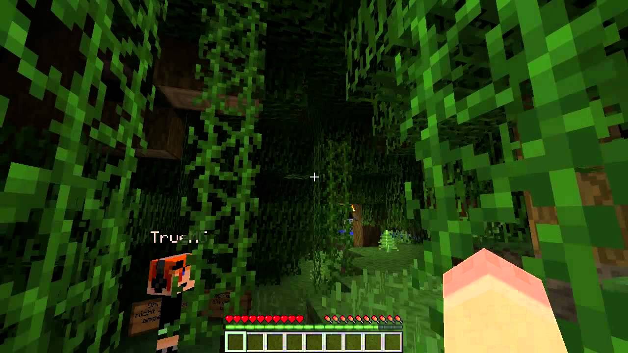 Let's Adventure YOUR Minecraft #106 Eselohr - Die Zeitreise [1/2]