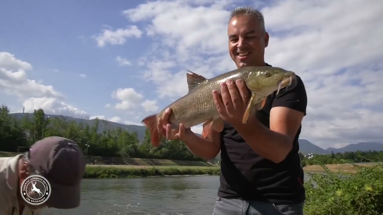 🎣Капитални мрени на уливот на Лепенец — урбан риболов во срцето на Скопје!🐟 #УрбанРиболов  #мрена