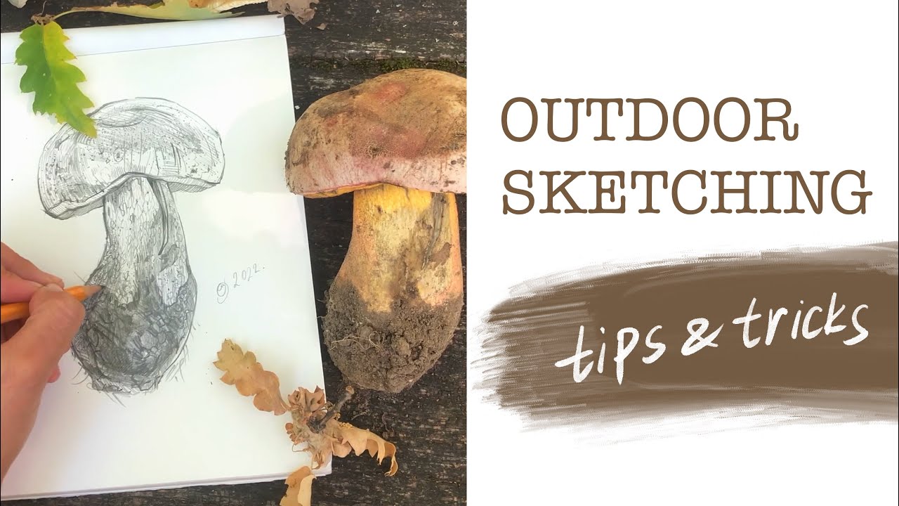 Quick Outdoor Sketching Tips