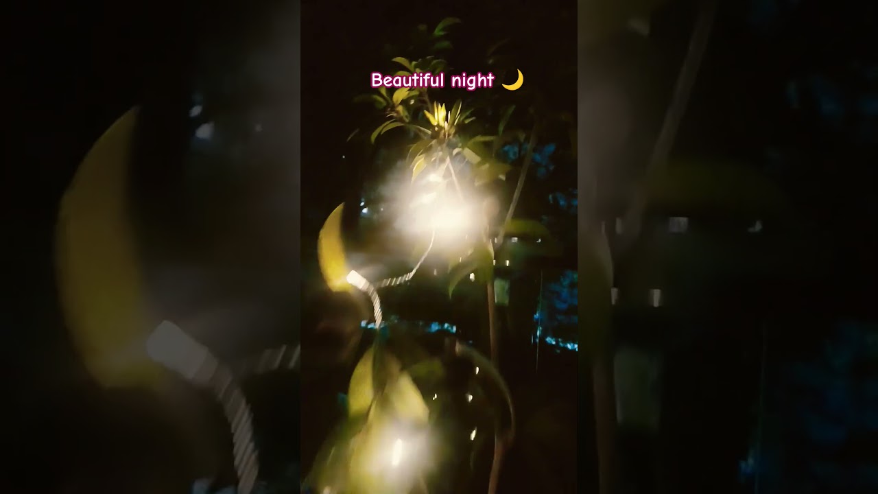 #nightlife