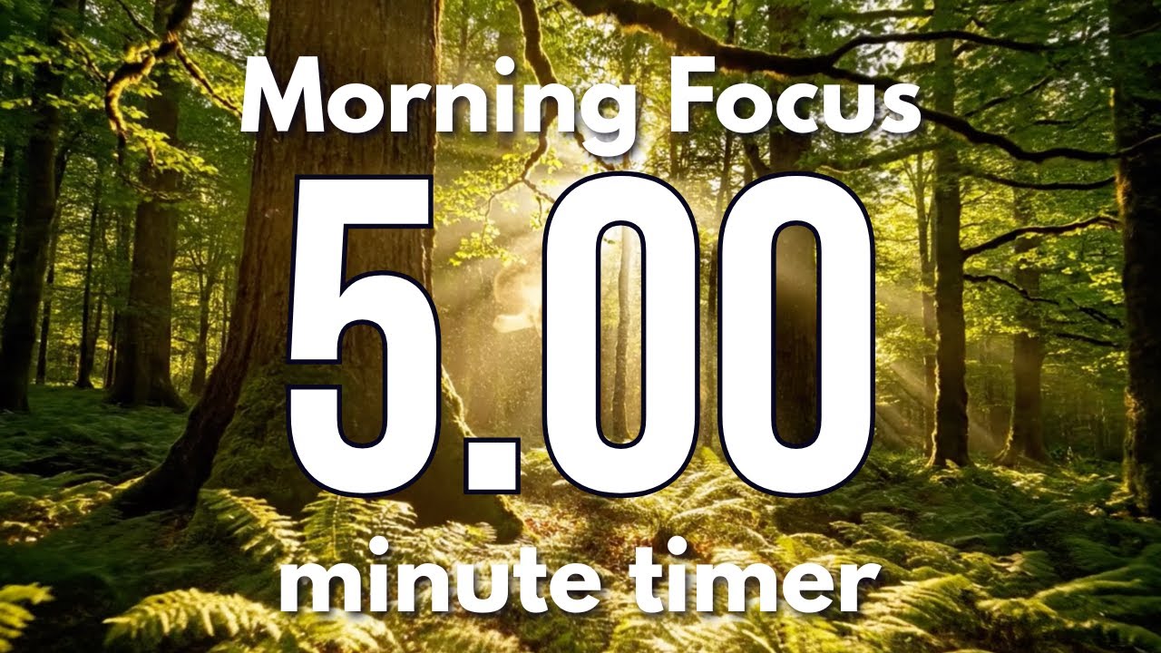 5 Minute Classroom Timer | Sunrise Focus & Relaxing Music