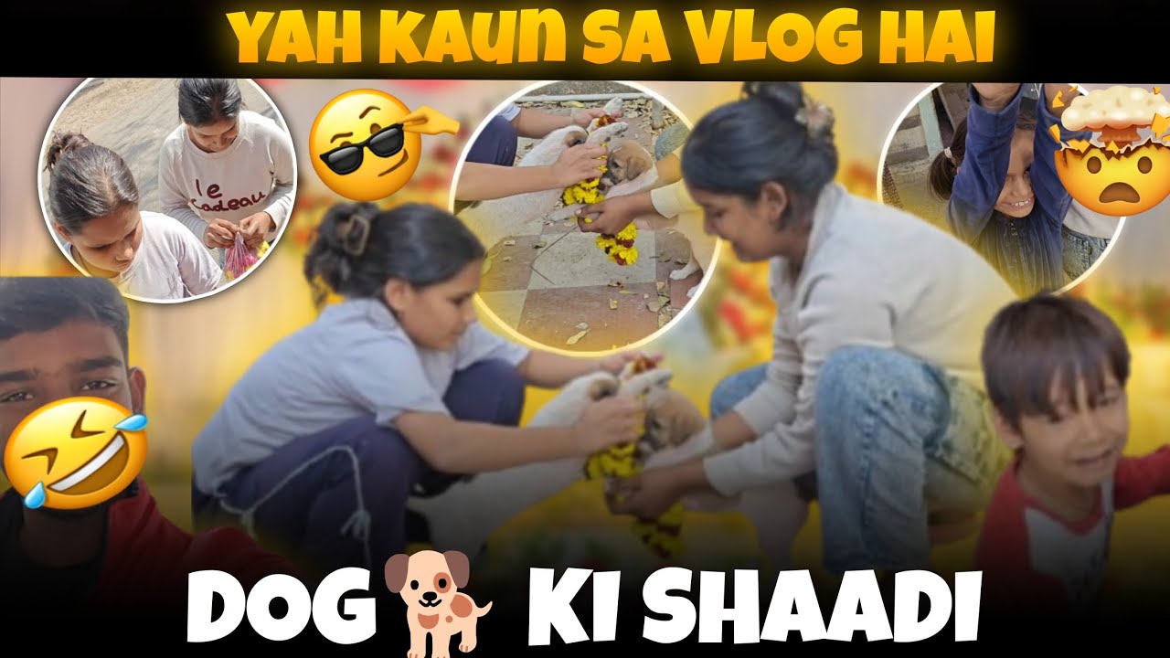 Sab Dhoka Kha Gaye 😂 | Chhote Kutton Ki Shaadi | Funny Vlog #yotube 