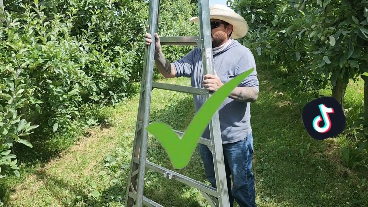 🌟primera vez usando una escalera de huerta ??