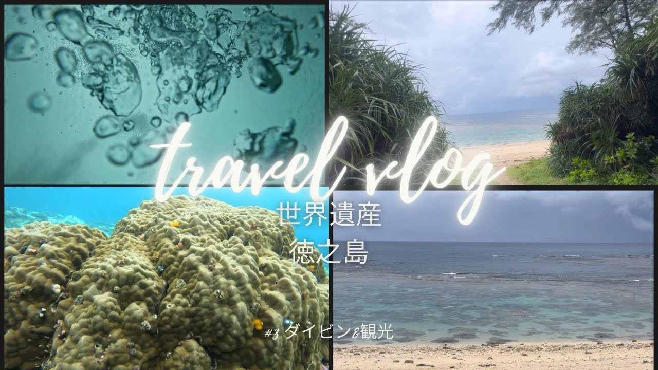 【女ひとり旅】世界自然遺産の島　徳之島　day3