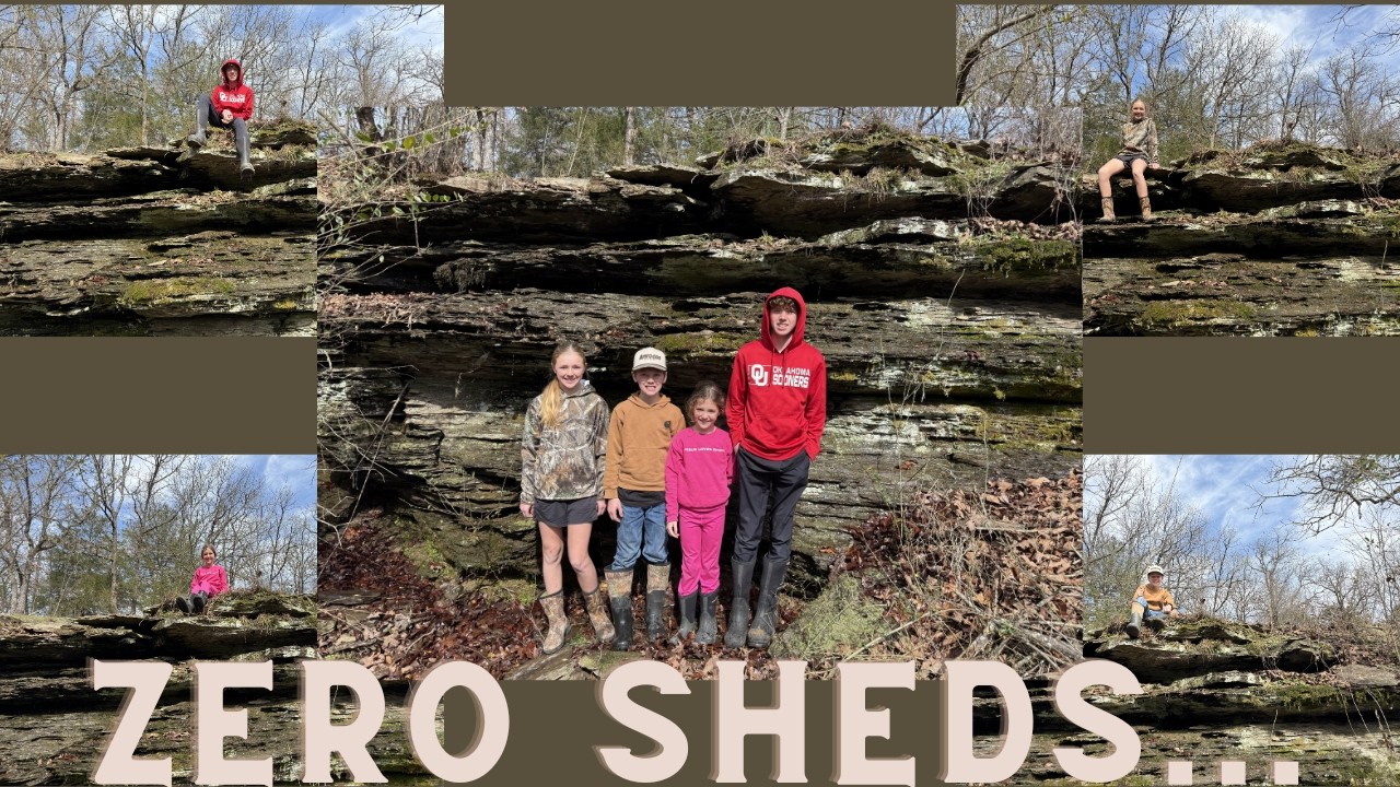ZERO SHEDS...