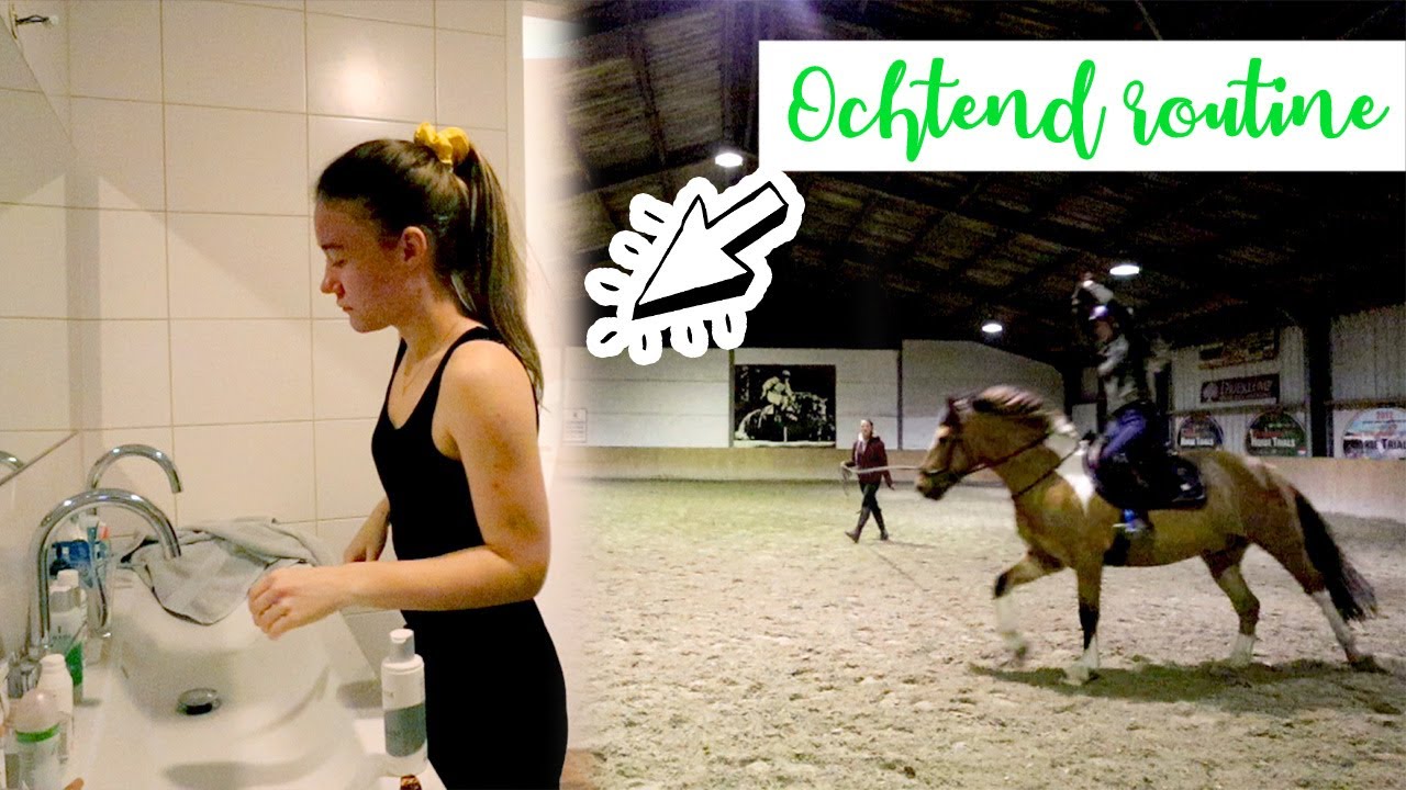 OCHTEND ROUTINE + VERLICHTE ZIT LES! | felinehoi VLOGMAS #241