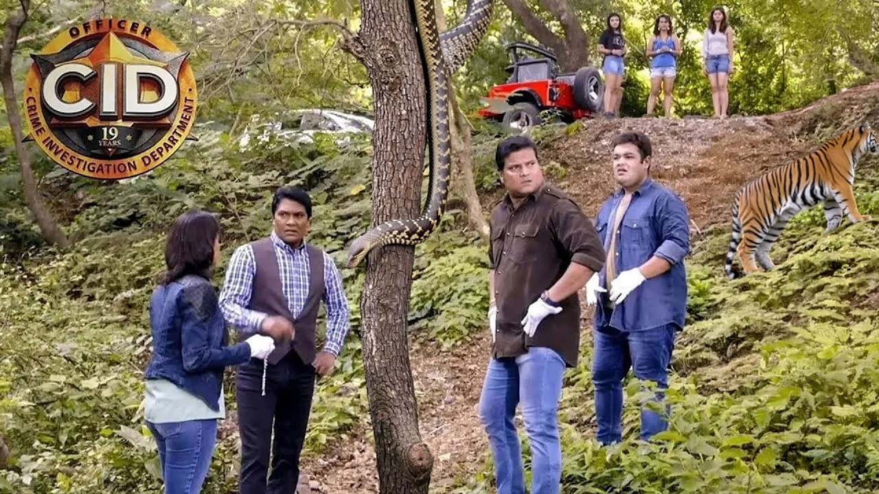3 लड़कियों के साथ Team CID क्यों आई है खतरनाक Jungle में? | CID | सी.आई.डी.