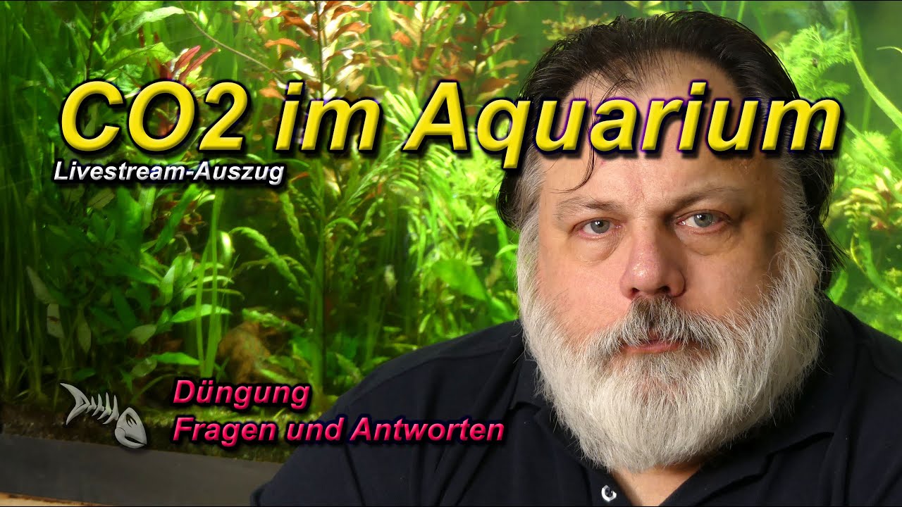 CO2-Alternativen f&uuml;r das Aquarium - was gibt es am Markt?
