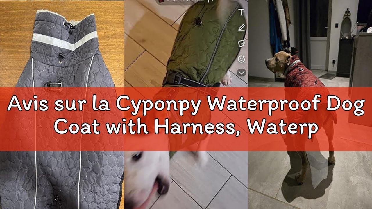 Avis sur la Cyponpy Waterproof Dog Coat with Harness, Waterproof Coats for Dogs, Fleece-Lined Jacket