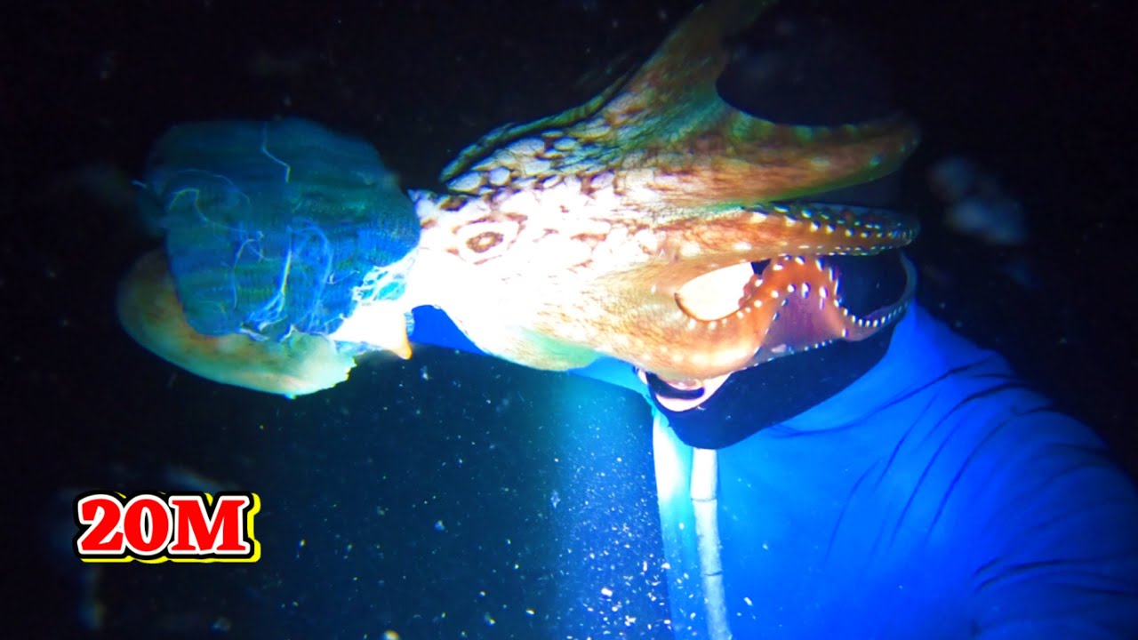Kinh Hoàng Khi Bị Bạch Tuộc Tấn Công Ở Độ Sâu 20 Mét | Diving in Vietnam (16k)
