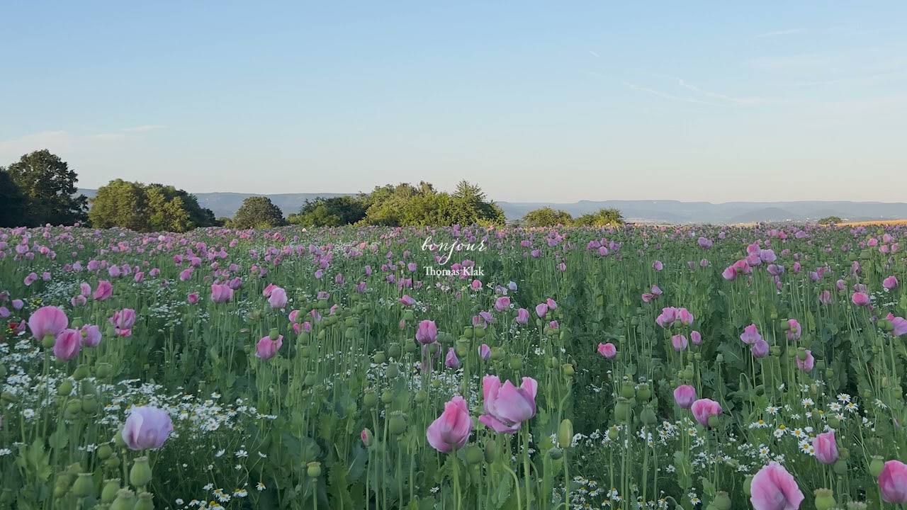 in my mind I'm here... (piano playlist)