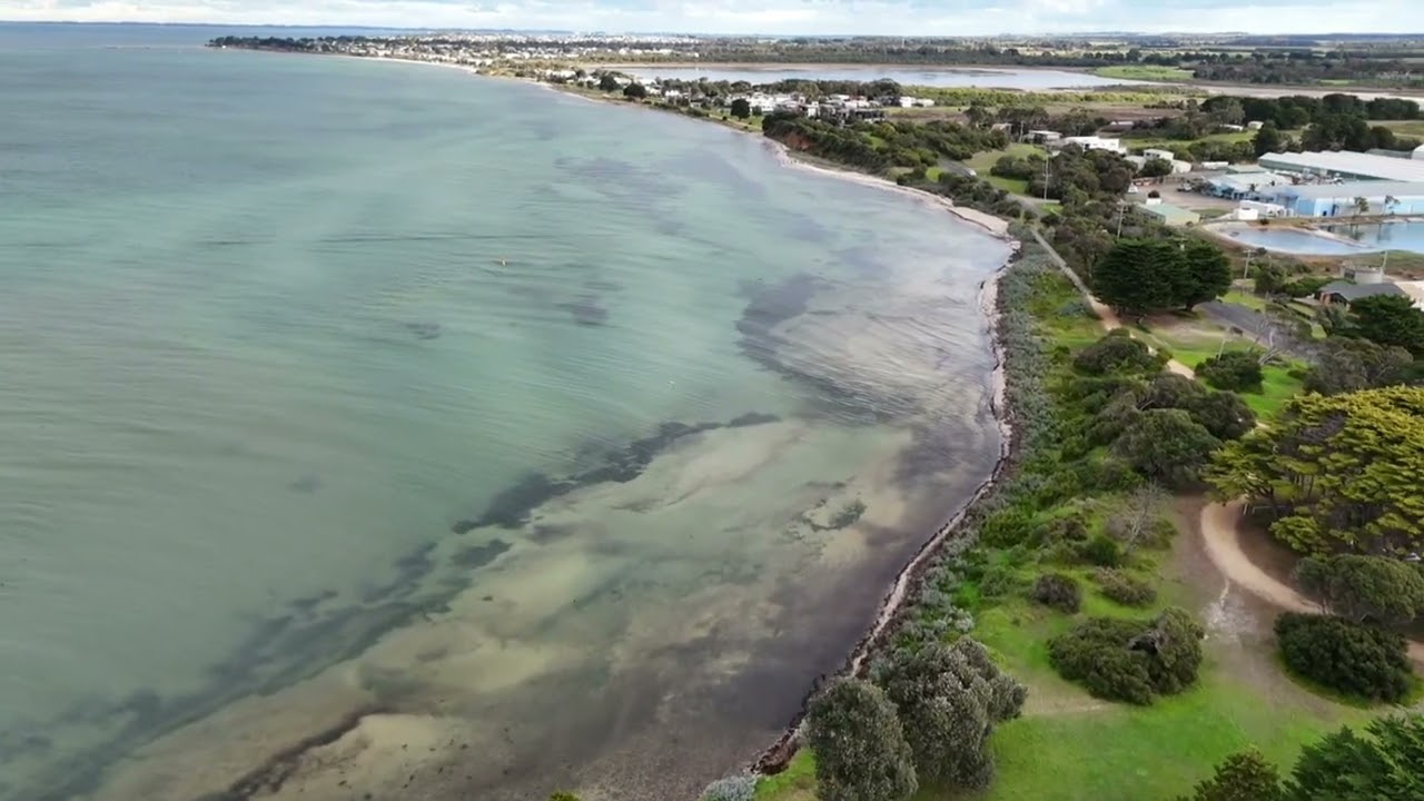 Indented Head   June 2024
