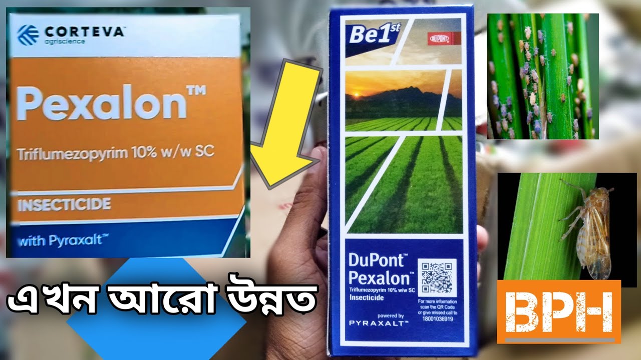Dupont Pexalon | Corteva Pexalon Insecticide | ধানের শোষক পোকার কীটনাশক