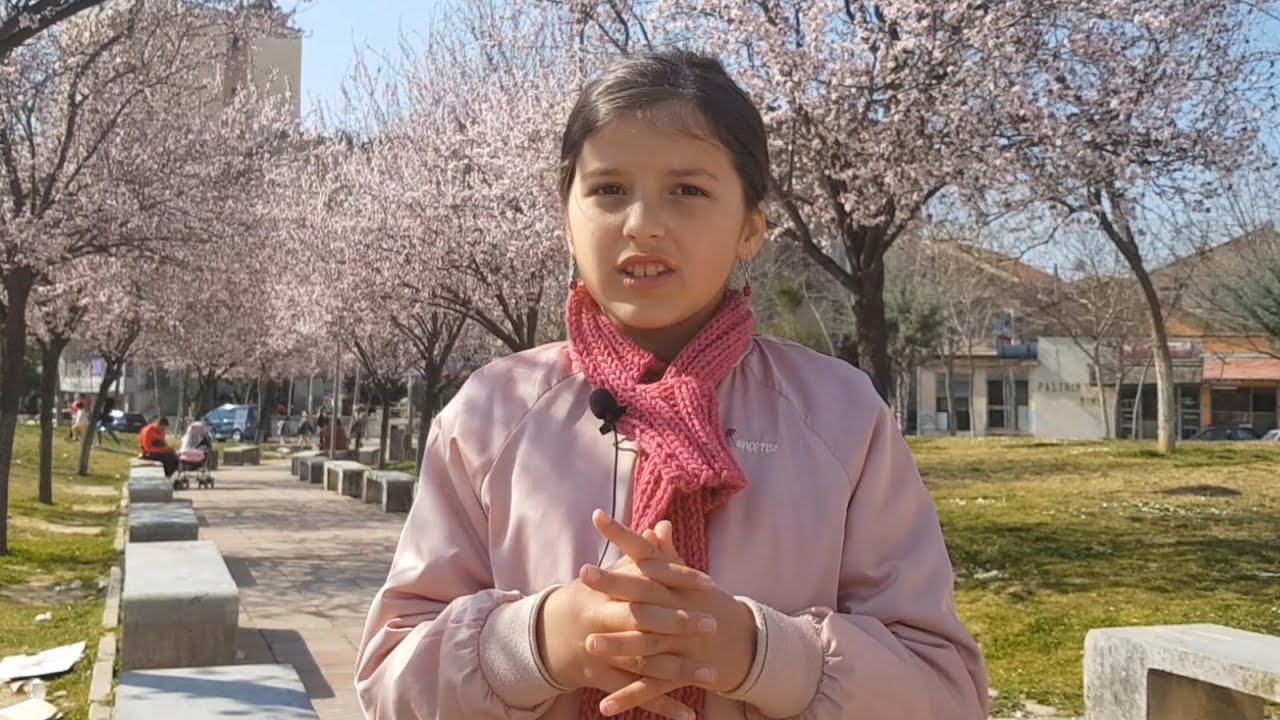 Kush e solli pranveren? - Perralle per femije