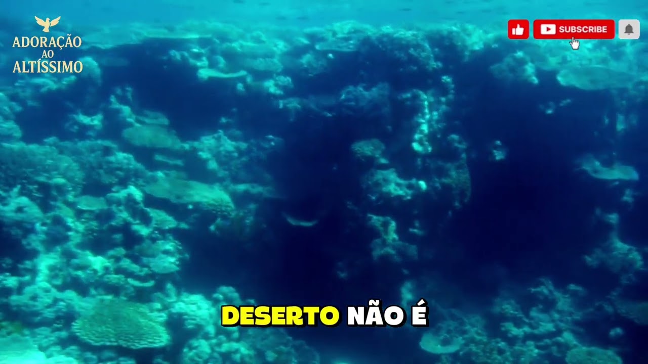 A Promessa Vai Se Cumprir/ louvor profético / lançamento 2026