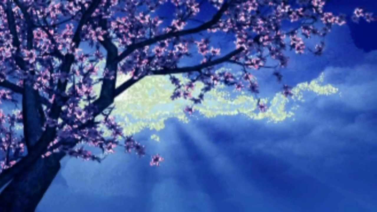 LA FARFALLA - Mietta -