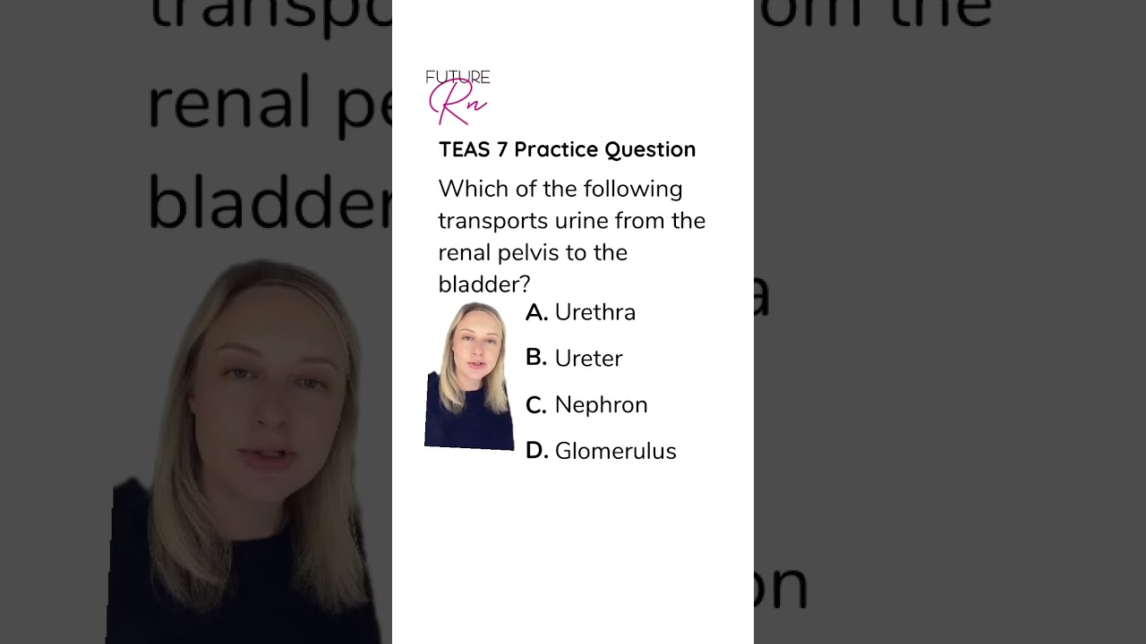 TEAS 7 Practice Question 