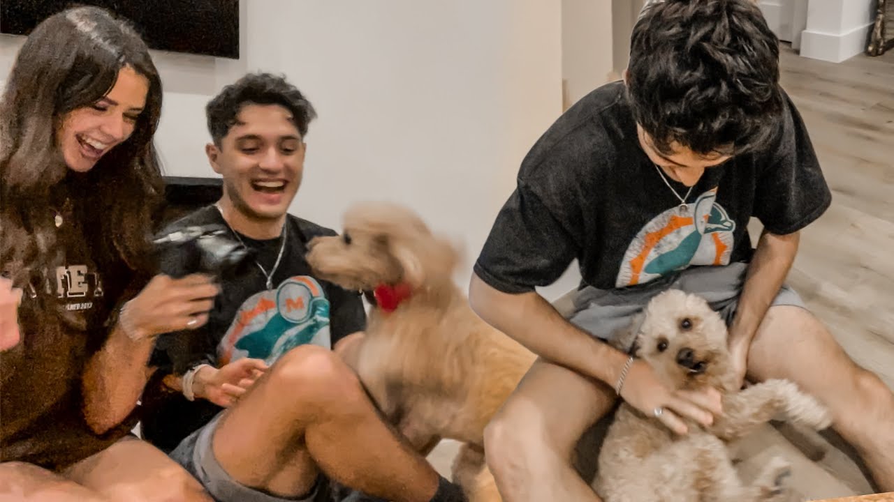 Reuniting With Our Puppy After 4 Months Apart!! *so cute*