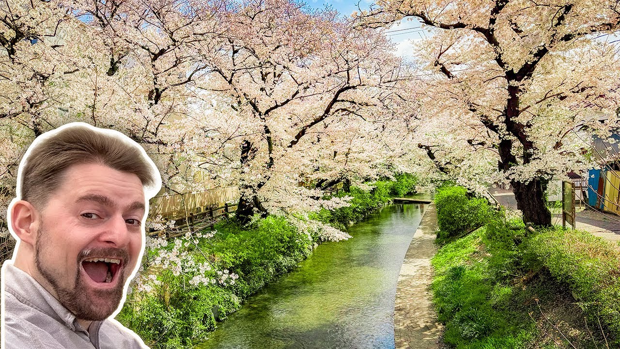 KIRSCHBLÜTEN in TOKYO! 🌸 // April Vlog Part 1