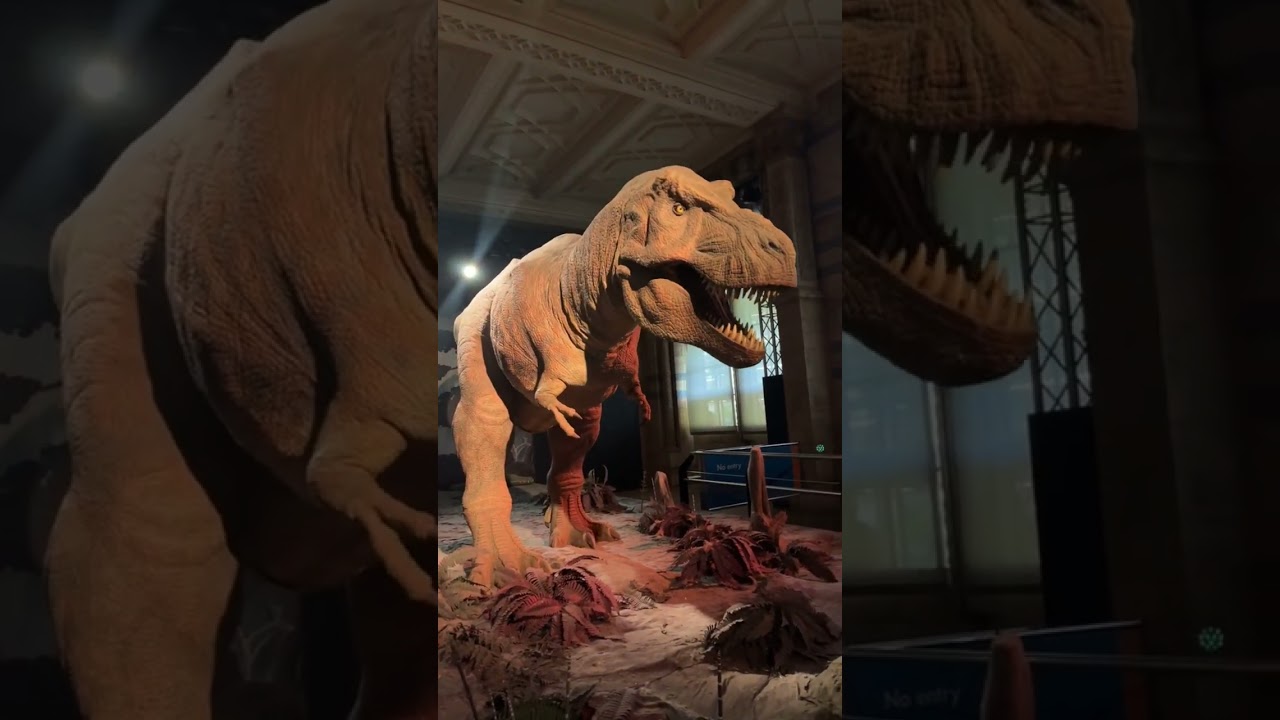 Natural History Museum! 