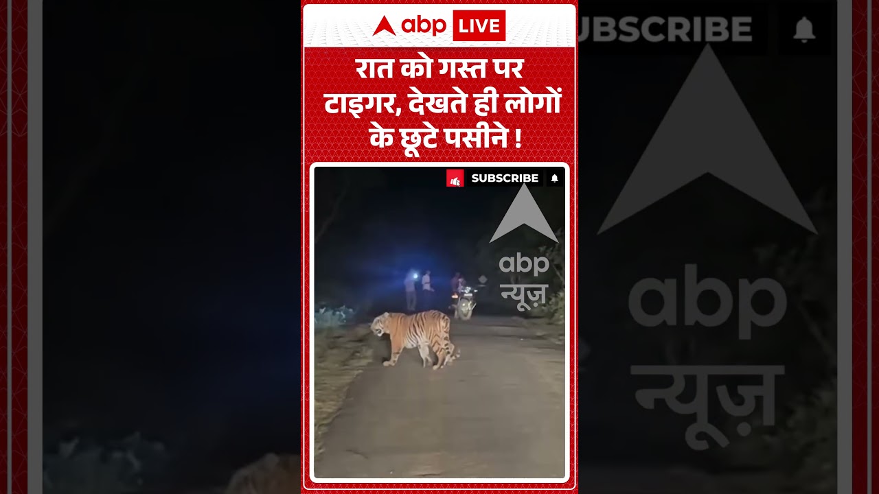 Viral Video : नाइट आउट पर निकला बाघ ! देखते ही भागे लोग | #Tiger #NightOut #WildLife #shorts