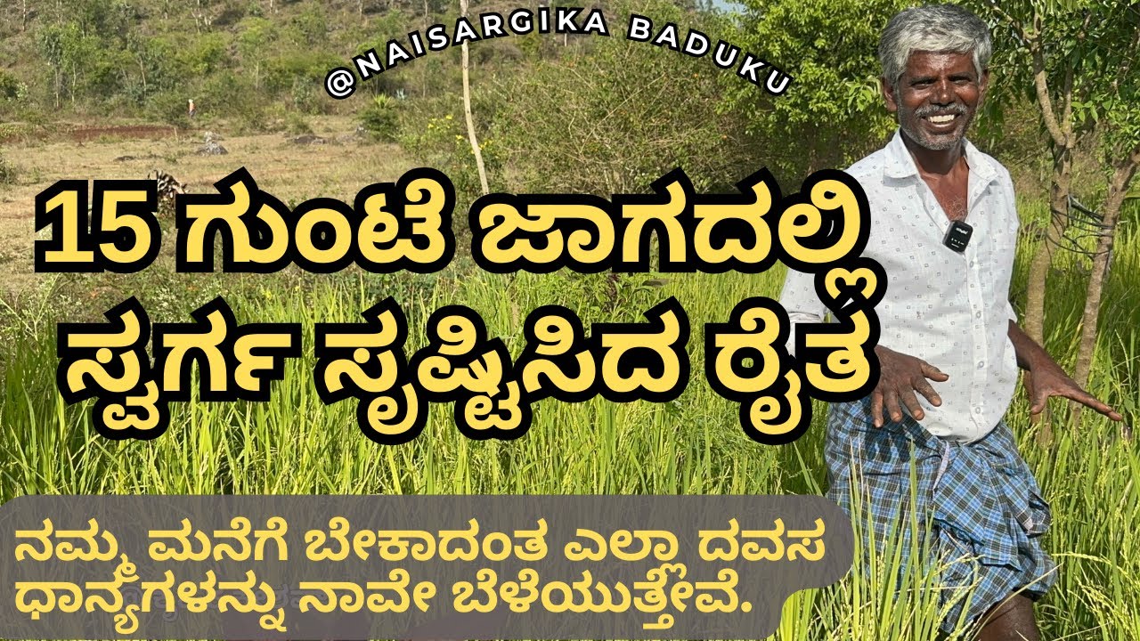 15 ಗುಂಟೆ ಜಾಗದಲ್ಲಿ ಸ್ವರ್ಗ ಸೃಷ್ಟಿಸಿದ ರೈತ | ಸಮಗ್ರ ಕೃಷಿ | Integrated Farming | Mysore farmer| 🇮🇳💛❤️